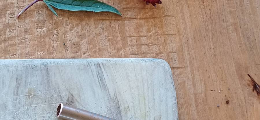 rosella_calyx_separation.jpg rosella_calyx_separation.jpg