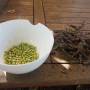 shelling_pigeon_peas_1.jpg