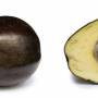 avocado3.jpg