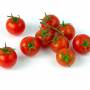 cherrytomato1.jpg