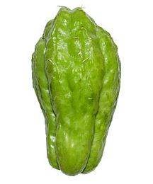 choko1.jpg