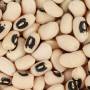 cowpea2.jpg