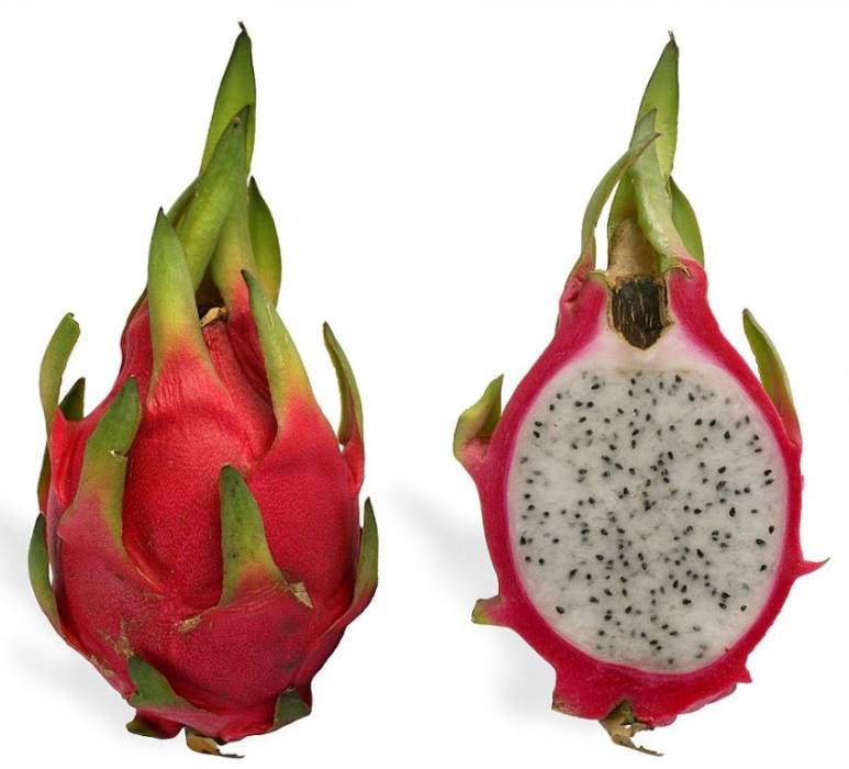 dragonfruit1.jpg