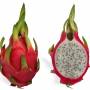 dragonfruit1.jpg