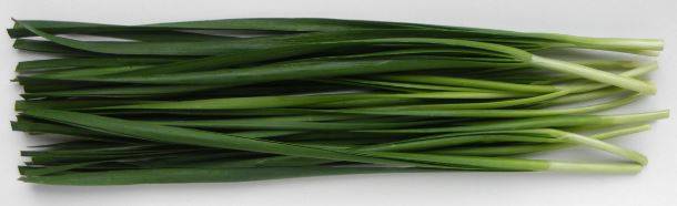 garlicchives2.jpg