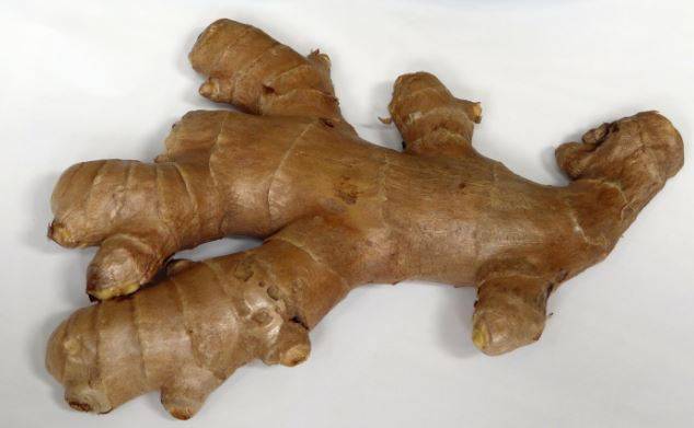 ginger2.jpg