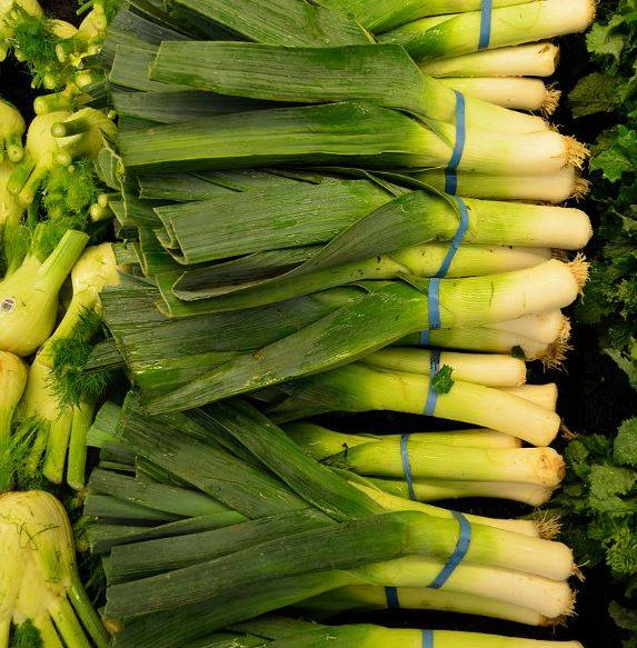 leek1.jpg