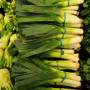 leek1.jpg