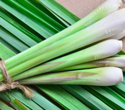 lemongrass2.jpg