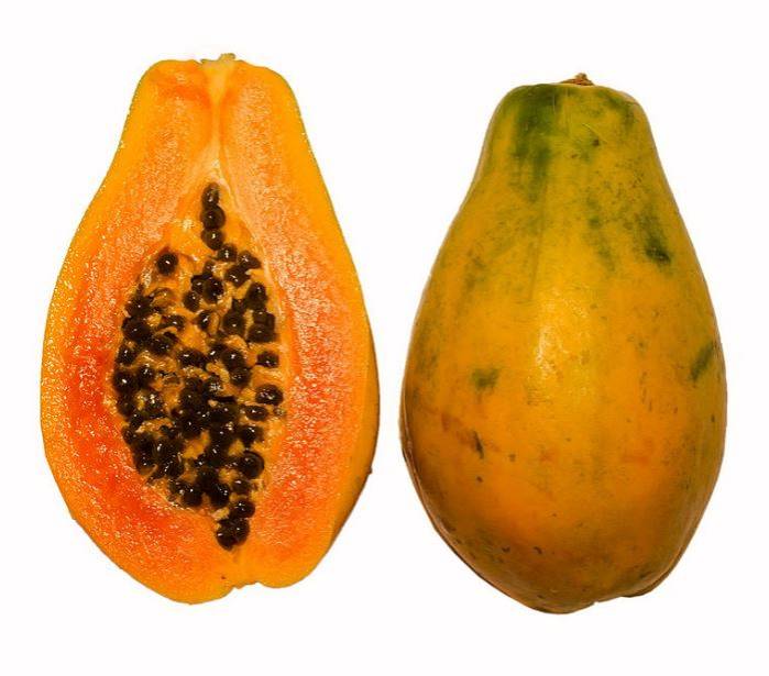 pawpaw2.jpg