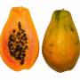 pawpaw2.jpg