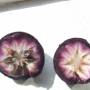 starapple3.jpg