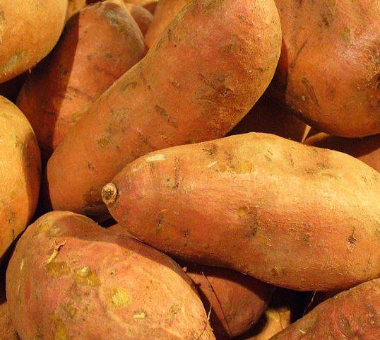 sweetpotato1.jpg