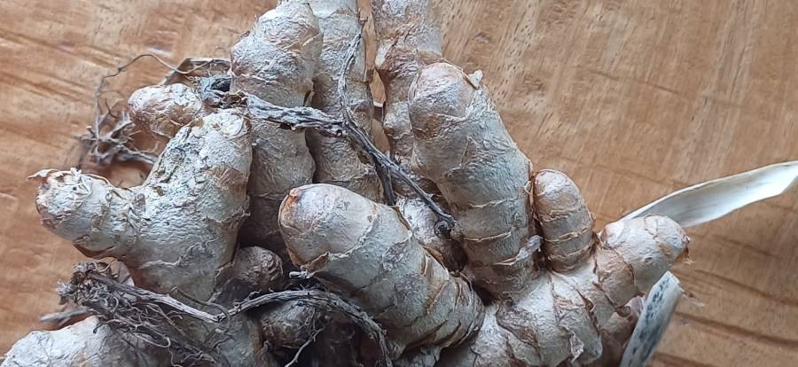 tumeric_3.jpg