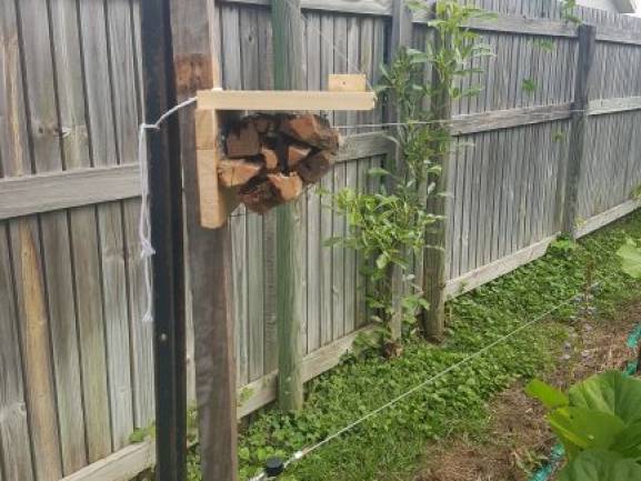 wasp_hotel2.jpg