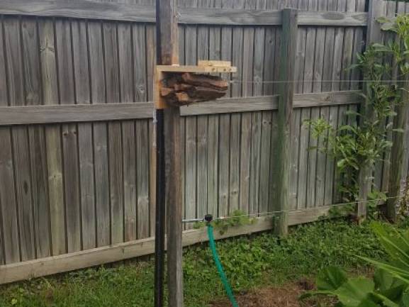 wasp_hotel3.jpg