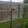 wasp_hotel3.jpg